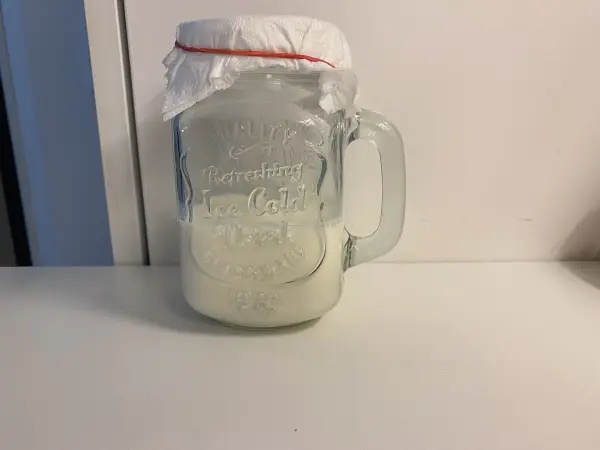 Der Kefir reift bei Raumtemperatur. Je l&auml;nger man ihn stehen l&auml;sst, desto dicker und saurer wird er, dabei muss er atmen k&ouml;nnen. Daher wird das Gef&auml;&szlig; in dem er reift nicht geschlossen, sondern nur mit einem Tuch bedeckt.