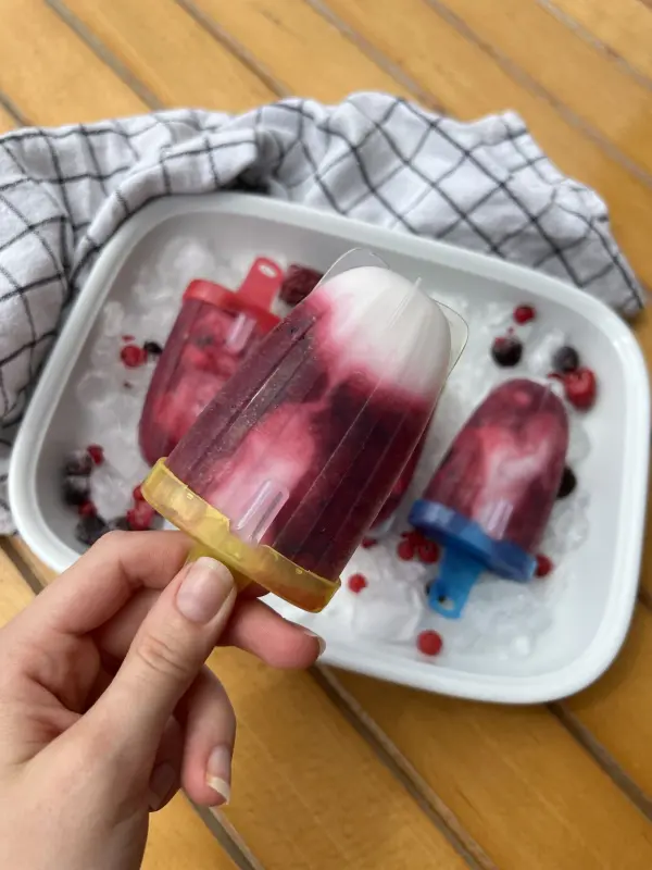 An hei&szlig;en Tagen gibt es doch nichts Besseres als ein k&uuml;hles erfrischendes Eis. Am besten schmeckt es nat&uuml;rlich selbstgemacht.