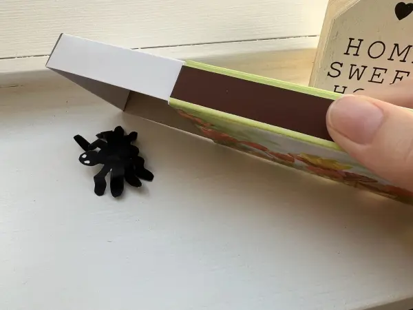 Um das Tierchen zu fangen, brauchst du nur die geöffnete Streichholzschachtel darüber zu stülpen.
