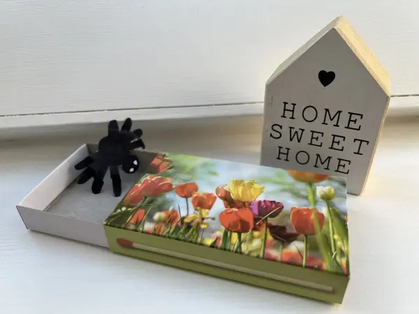 Mit der Streichholzschachtel kannst du Insekten in deinem Haus ganz einfach lebend einfangen.
