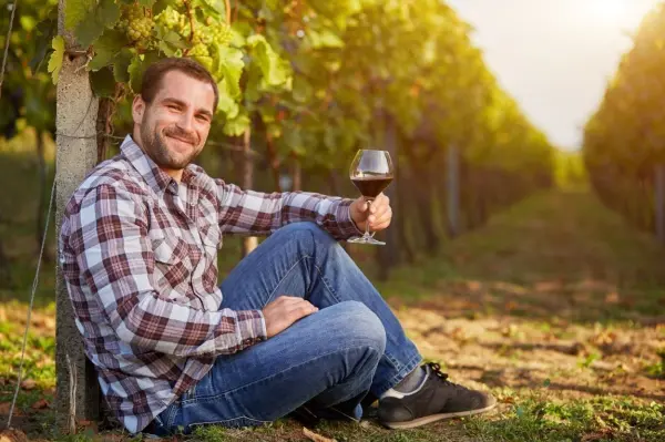 Die gute Nachricht: Der dicke Kopf am Tag nach dem Weinkonsum kommt manchmal nicht vom Wein. Die schlechte Nachricht: Er kommt eventuell vom Schwefeldioxid.