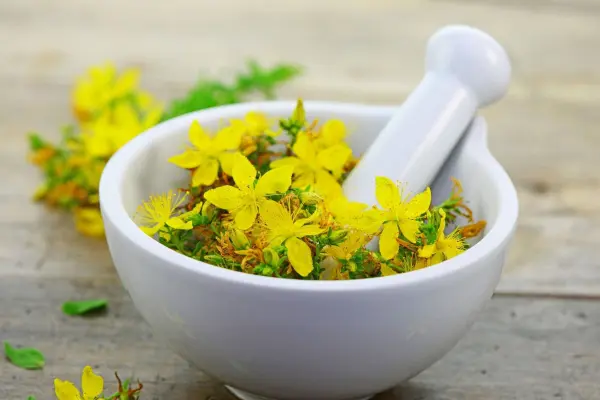 Johanniskraut wird in der Naturheilkunde verwendet, um Depressionen und Angstst&ouml;rungen zu behandeln.