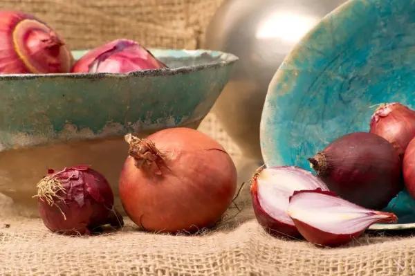 Sie sind nicht nur lecker - sie sind auch vielseitig. Gem&uuml;sezwiebeln, rote Zwiebeln, Schalotten - sie alle erg&auml;nzen und unterstreichen mit ihrem Geschmack die unterschiedlichsten Gerichte.