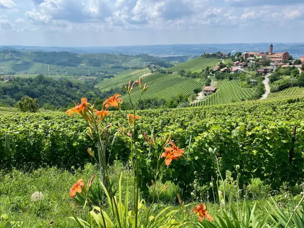 Bella Italia &ndash; neben pittoresken Landschaften, leckerem Essen und tollen Weinen haben die Italiener Bernhards Herz auch mit unerwarteter Bescheidenheit erobert.