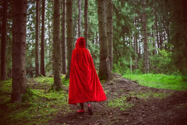 M&auml;rchen sind nicht nur spannend, lustig und ganz sch&ouml;n verr&uuml;ckt: Oft kannst du dabei noch etwas lernen. 