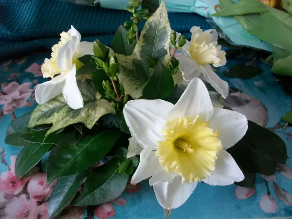 Dann habe ich zuerst vorsichtig Narzissen gesteckt, da sie einen eher unstabilen Stiel haben, es hat geklappt. Dann die Tulpen.