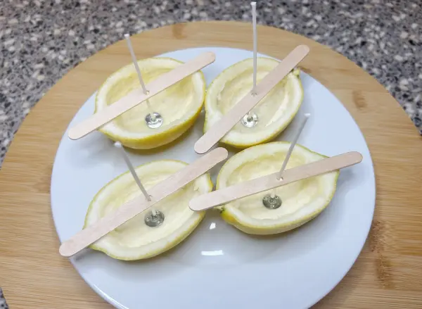Um die selbstgemachten Citronella-Kerzen vorzubereiten, l&ouml;st man das Fruchtfleisch von der Zitrone, stellt die Kerzendochte hinein und fixiert sie mit einem Halter oder alternativ mit zwei Haushaltsgummis.
