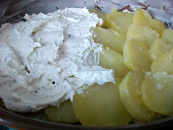 Die Auflaufform ausgebuttert und mit den zuvor abgekochten Salzkartoffeln ausgelegt. Dann den Kr&auml;uterfrischk&auml;se darauf verteilt.