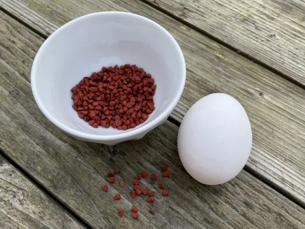 Mit Annattosamen nat&uuml;rlich gelb gef&auml;rbte Ostereier &ndash; umweltfreundliche DIY-Idee f&uuml;r nachhaltige Osterdeko.