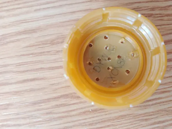 F&uuml;r die selbstgemachte Ballbrause werden in den Deckel der Plastikflasche kleine L&ouml;cher gebohrt.