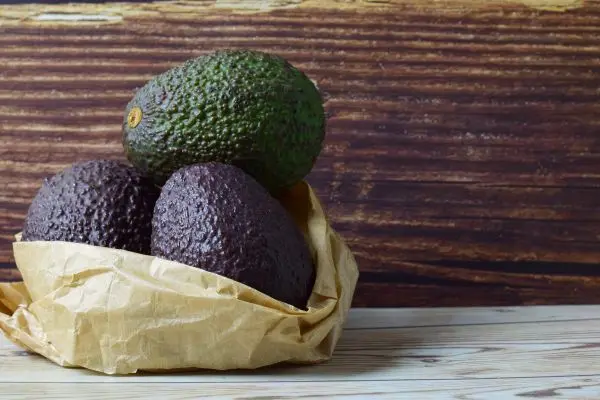 Mit der richtigen Lagerung h&auml;ltst du deine Avocados l&auml;nger frisch.