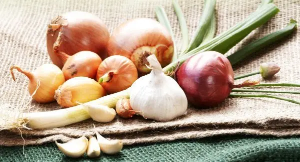 Halte deine Darmflora mit pr&auml;biotischen Lebensmitteln wie Lauch, Zwiebeln und Knoblauch im Gleichgewicht.