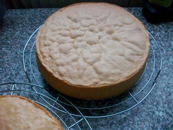 Mein Biskuitboden, Teil Eins. Das ergab dann aufgeschnitten drei Biskuitbo&ouml;en f&uuml;r die Torte.