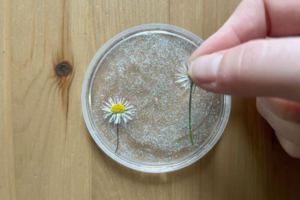 Mit gepressten Blumen und glitzerndem Kleber wird dein DIY-Suncatcher zur sch&ouml;nen Fr&uuml;hlingsdeko.