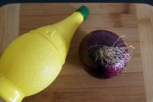 Zwiebel schneiden ohne stinkende Hände mit Zitronensaft