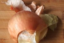 Zwiebelschalen gegen Blattläuse