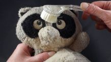 Verfilzte Kuscheltiere wieder plüschig bürsten