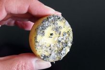 Brandfleck von Zigarette auf Möbeln entfernen