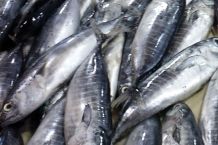 Fischgeruch beim Braten von Fisch verhindern