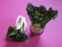 Hübsche Tischdeko für ein Chinagericht - Bok Choy-Kohl in einem Glas
