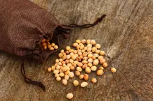 Kirschkernkissen-Wärmekissen selber machen