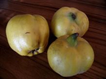 Quittenmarmelade
