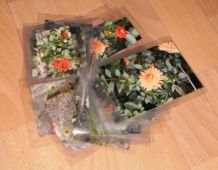 Dahlien Markier-Set