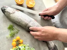 Fisch einfach zerteilen