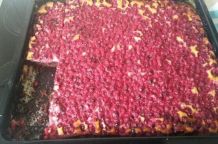 Johannisbeerkuchen mit Schmand-Puddingcreme