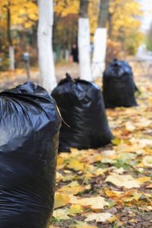 Essig im Müllsack gegen Tiere