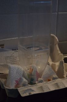 Eierkarton als Hilfe zum Trocknen für Flaschen