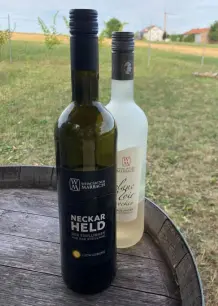Man muss nicht unbedingt ein Fan von Trollinger sein, um sich den Neckarhelden schmecken zu lassen. Als fruchtige Alternative in Sachen rote Traube dient der Blanc de Noir! 