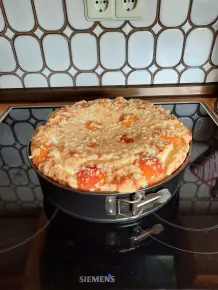 Aprikosen-Käse-Schmand-Kuchen mit Streusel