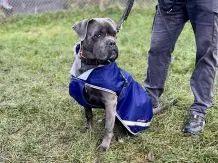 Hoffnung für Tierheimtiere: Gewinne eine Patenschaft