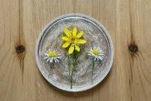 Sonnenfänger mit Kleber selber basteln – einfache DIY-Anleitung