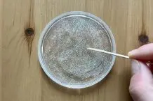 Sonnenfänger mit Kleber selber basteln – einfache DIY-Anleitung