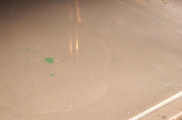 Backofen Reinigen Mit Dampfreinigung Frag Mutti