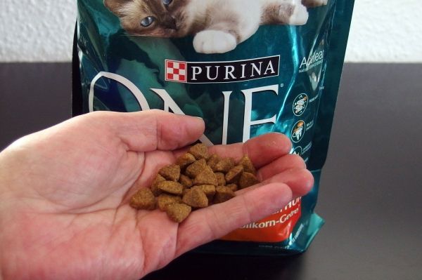 Katzenfutter Durchfall Katze
