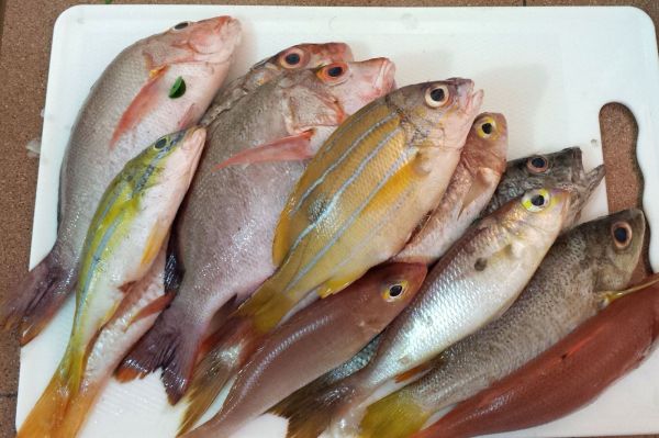 Warum riecht eine Frau unten nach Fisch? Warum riecht eine Frau unten nach Fisch?