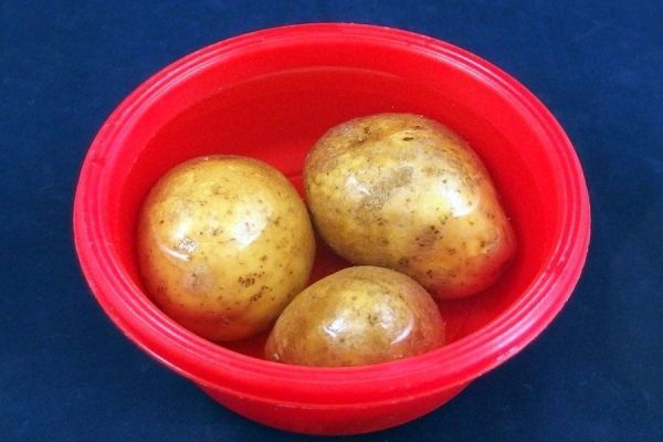 Schrumpelige Kartoffeln Noch Essbar