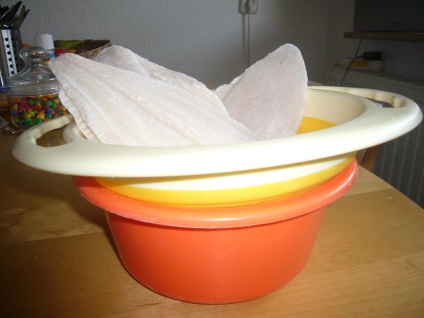 Fleisch richtig auftauen