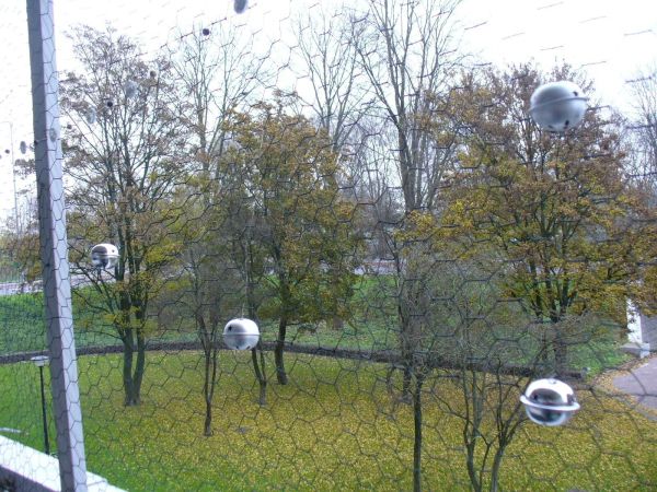 Katzen Tipps Uber 150 Tricks Hausmittel Frag Mutti