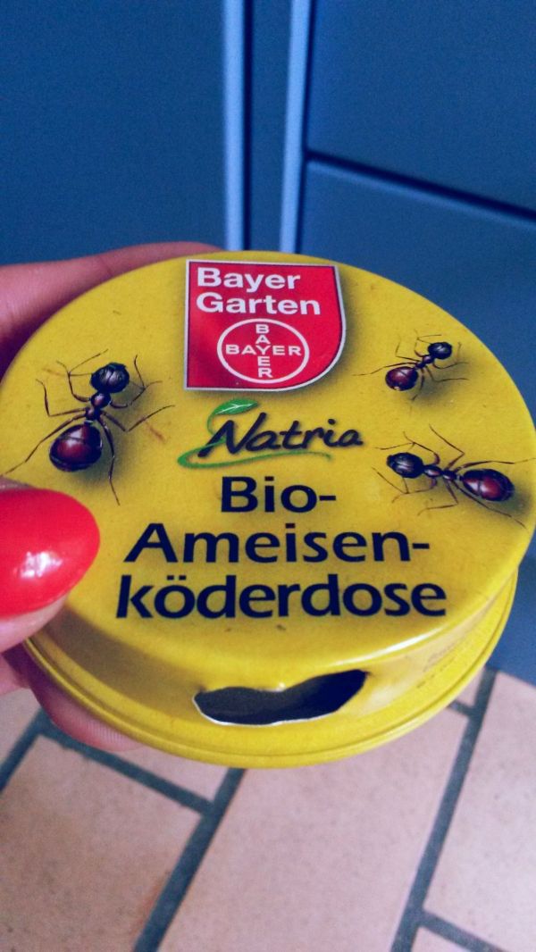 Snap Hausmittel gegen Aphten Papaya oder Backpulver Frag Mutti ... Snap Hausmittel gegen Aphten Papaya oder Backpulver Frag Mutti ...