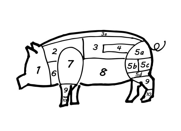fleischzuschnitte vom schwein was ist das beste stuck frag mutti