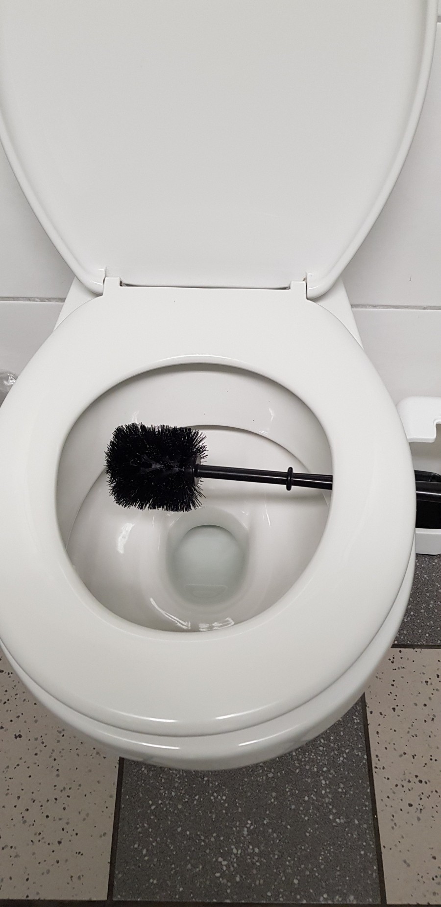 Toilettenbürste desinfizieren | Frag Mutti