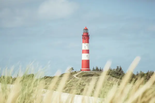 Der Leuchtturm ist ein Wahrzeichen der Insel Amrum. Mit ca. 42 m ist er der h&ouml;chste Leuchtturm in ganz Nordfriesland.