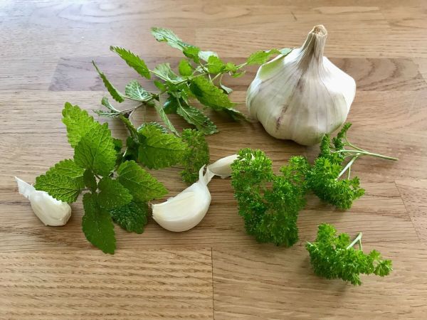 Tipps und Tricks, um den Knoblauchgeruch loszuwerden Tipps und Tricks, um den Knoblauchgeruch loszuwerden