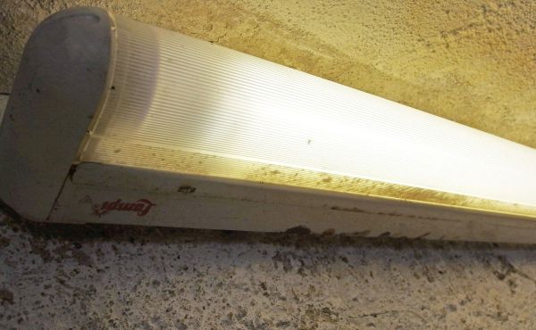 Lebensdauer Von Leuchtstoffröhren Erhöhen | Frag Mutti