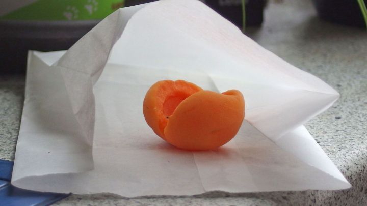 Ein Fr&uuml;hst&uuml;cksbeutel enth&auml;lt eine lebendige, orangefarbene Fliegenfalle, die auf einer Tischoberfl&auml;che liegt.