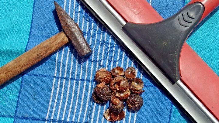 Waschn&uuml;sse liegen auf einem Tuch, w&auml;hrend ein Wasserabzieher und ein Hammer daneben platziert sind, bereit zum Putzen.